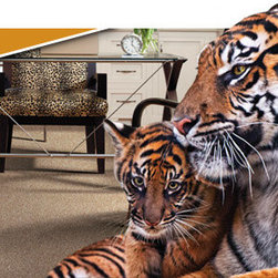 Tigresa Carpet - Flooring