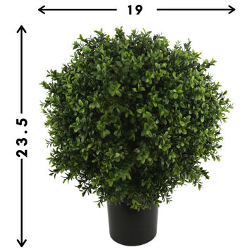 23.5" Boxwood Topiary