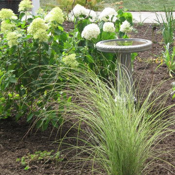 Courtyard for Senior Living