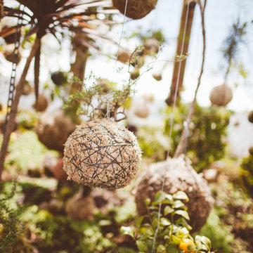 Suspended Forest
