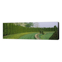 outside landscape