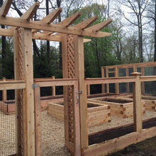 Raised Beds