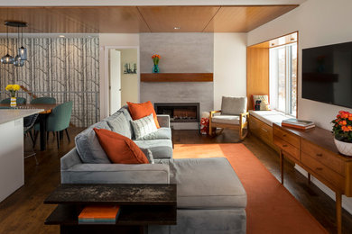 Living room - 1960s living room idea in Minneapolis