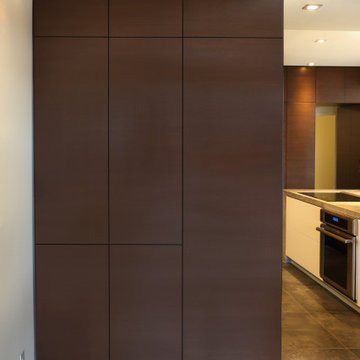 Modern Condo