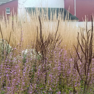 Donald Pell Studio Gardens, East Vincent Township