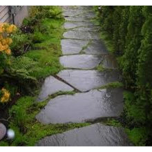 Flagstone patio/path