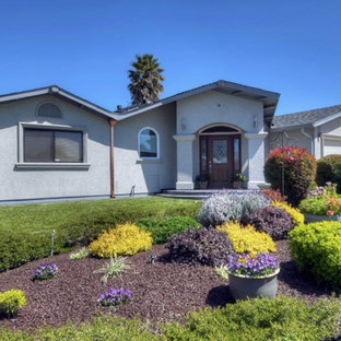 Build Doctors LLC Review]