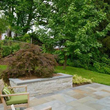 Modern Garden in DC