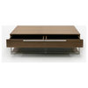Modrest Heloise Modern Walnut and Stainless Steel Coffee Table