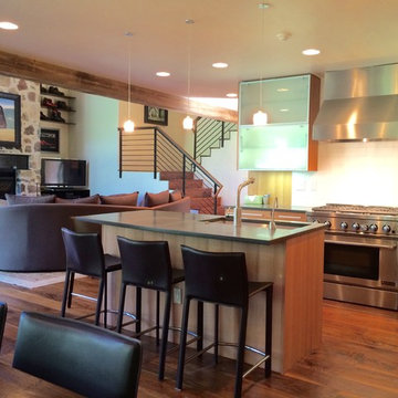 Vail Modern Remodel