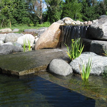 Natural Pools