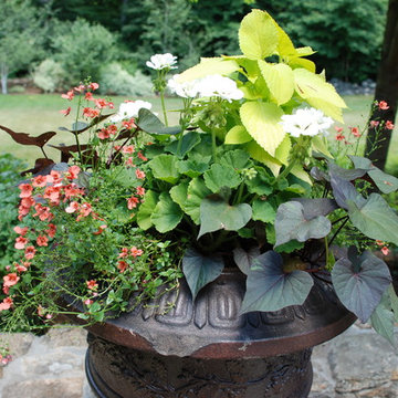 Contrasting Delicate Plantings with Sturdy Planters