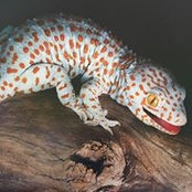 Jeannette Rubner's photo