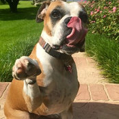 Crystal Marie Causey's photo