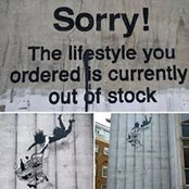 Andrew Walsh's photo