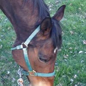 Danielle Descheneaux's photo