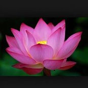 Esun Lee's photo