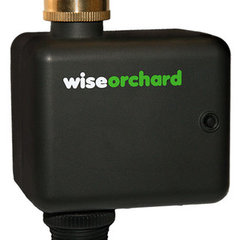 Wise Orchard
