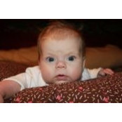 Nicole Misuraco's photo