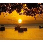 Rikesh Ramchurn's photo