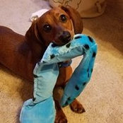 Rhona Treadway's photo