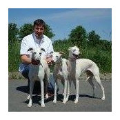 Andreas Reschkes billede