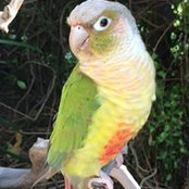 Tracy Thordarson's photo