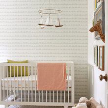 Nursey Photos for Terracotta