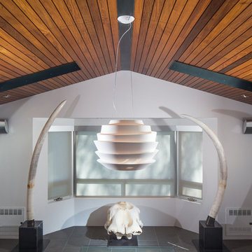 Modern Home in Reno's Old Southwest