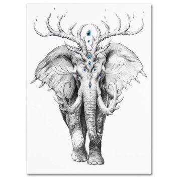 JoJoesArt 'Elephant Soul' Canvas Art, 19x14