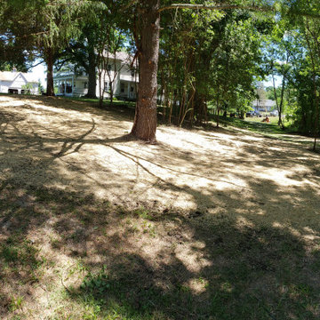 Grass Seeding
