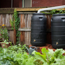 rain water collection