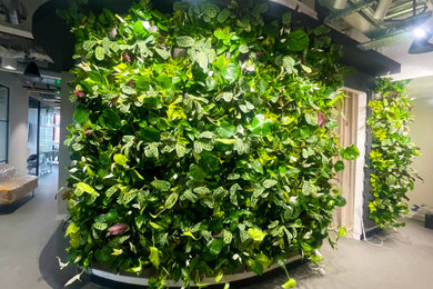 Office Living Wall
