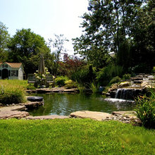 Coy Pond