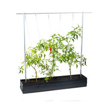 Trellis