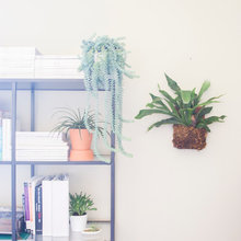 Bookshelf inspo