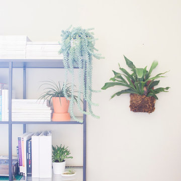 My Houzz: Laid-Back Casual Style in a San Francisco Home