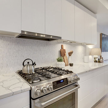 Contemporary Kitchen in Washington DC