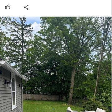 Google Reviews!!