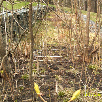 Spring Cleanup 2020