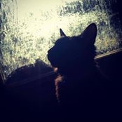 Eddie Merrill's photo
