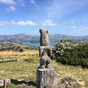 Patty Strain's photo