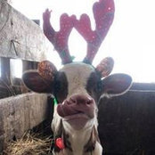 Laura McGranahan's photo