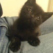 Mina Litvak's photo