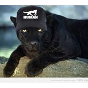 Dalibor Subasic's photo