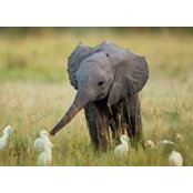 Gloria Whitford's photo