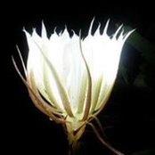 Barb Comstock's photo