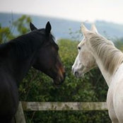 Janette Colloby's photo