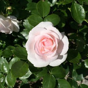 Sabrina's photo