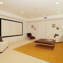 Game/Theater Room